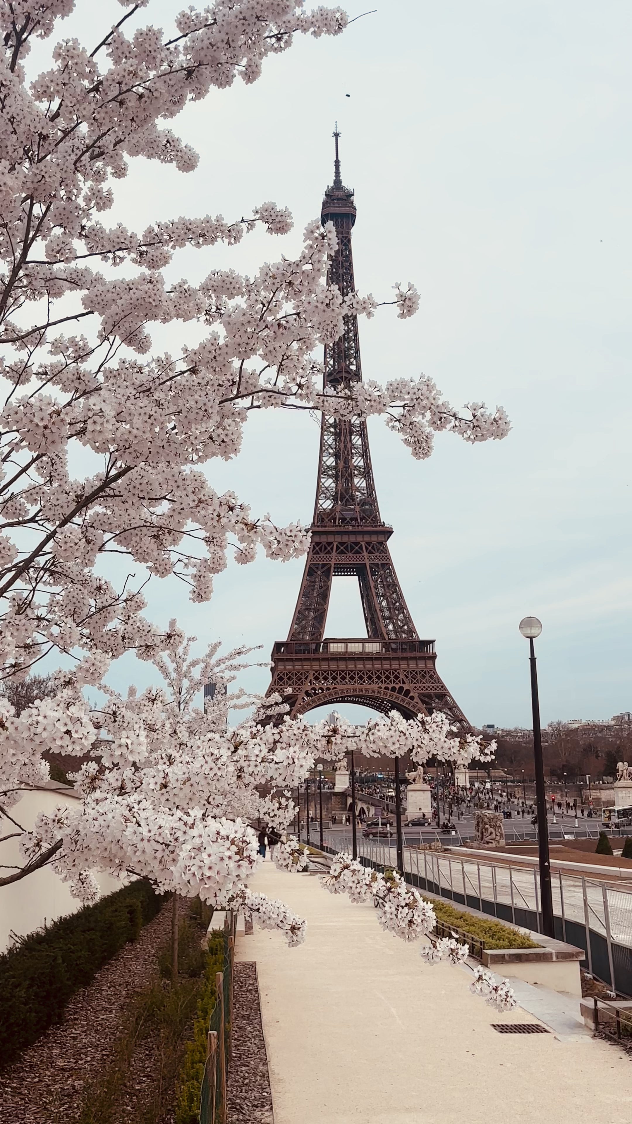 Spring in Paris
